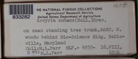 Image Associated With the Occurence